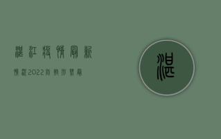 湛江疫情最新情况2022，防控形势、最新动态与应对措施全解析
