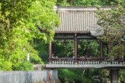 公园生活的好处有哪些_如何在城市公园享受慢生活