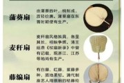 扇子最早出现在哪个朝代_古代扇子有哪些种类