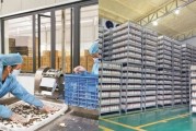 海南高科技产品批发基地在哪里_如何拿货