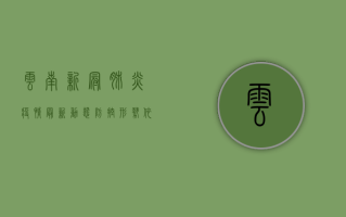 云南新冠肺炎疫情最新动态，防控形势依然严峻，全民共筑防线