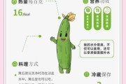 黄瓜历史图片大全_黄瓜原产地是哪里