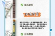 竹笛艺考考什么_竹笛艺术生备考指南