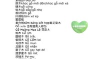 越南历史词语大全_有哪些重要词汇