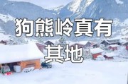 狗熊岭历史大全_狗熊岭真实存在吗