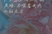悲观艺术文案怎么写_如何写出打动人心的悲观文案