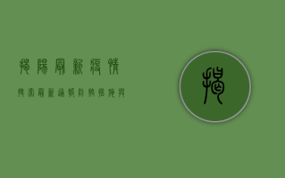 揭阳最新疫情搜索，最新通报、防控措施与专家建议