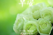 早上好怎么发朋友圈_早安文案怎么写才走心