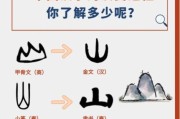 汉字历史图片大全_汉字演变过程图解