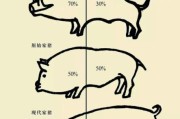 养猪历史大全_猪是怎么被驯化的
