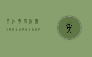 黄石市阳新县疫情最新通报，新增病例数上升，防控措施全面升级