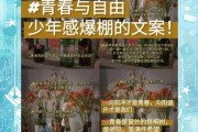 青春热爱生活文案怎么写_青春热爱生活文案有哪些灵感