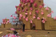 岳阳芦苇艺术节在哪_门票多少钱