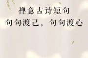 禅意生活图片怎么拍_禅意生活文案怎么写