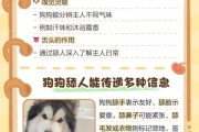 狗狗为什么总是舔人_如何纠正狗狗舔手习惯