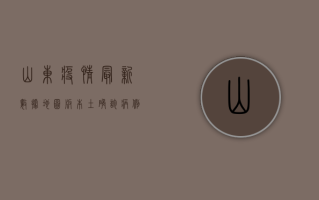 山东疫情最新数据地图版，本土确诊病例新增12例，多市调整风险等级
