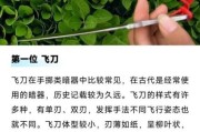 古代暗器有哪些_暗器大全及使用场景