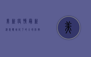 美新疫情最新消息，双城记下的全球防控博弈