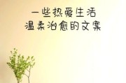 愿生活常温暖_如何让日子更温柔