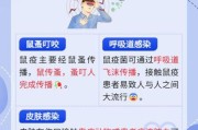 鼠年疫情历史大全_2020年发生了什么