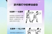 拳的艺术是什么_如何练习拳的艺术