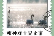 眼睛艺术感文案怎么写_如何让眼神有故事感