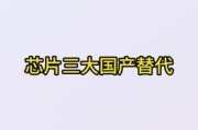 国产芯片如何突围_国产芯片替代进口可行吗