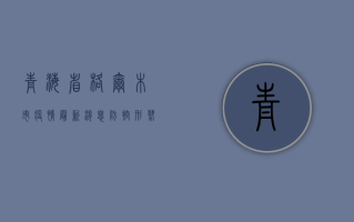 青海省格尔木市疫情最新消息，防控形势依然严峻，全民同心共筑防线