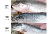 如何挑选新鲜三文鱼_三文鱼怎么保存才新鲜