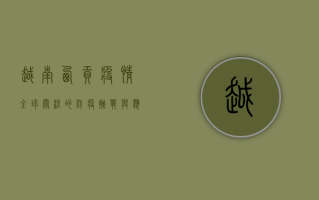 越南西贡疫情，全球关注的防疫挑战与应对策略