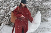 雪天怎么拍雪景_下雪天穿什么保暖