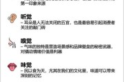 科技产品主色调怎么选_如何提升品牌辨识度