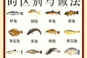 吃鱼有什么好处_怎样挑选新鲜鱼
