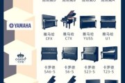初学者买什么钢琴好_钢琴品牌怎么选