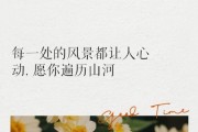 风景生活图片怎么拍_风景生活图片文案怎么写