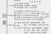 白茶历史大全_白茶起源与演变