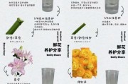 鲜花怎么养才不会枯萎_鲜花日常养护技巧