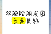 双胞胎文案生活_如何写出共鸣感