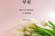 艺术中心早安文案怎么写_艺术中心朋友圈文案灵感