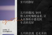 五月生活治愈文案怎么写_五月文案如何治愈人心