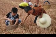 孩子在村里生活好吗_农村成长优缺点