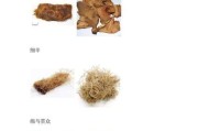 古代药材名称有哪些_如何辨别真伪