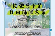 慵懒随意生活怎么过_慵懒随意生活文案怎么写