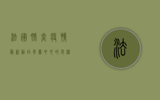 法国肺炎疫情最新动向，风暴中心的危机与应对策略