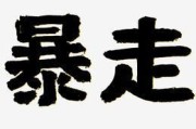 暴走艺术是什么_暴走艺术怎么入门