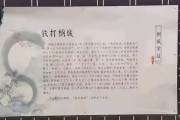 桐城历史简介大全_桐城文化有哪些