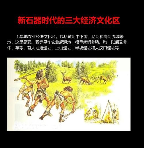 人类历史大全_从起源到现代文明