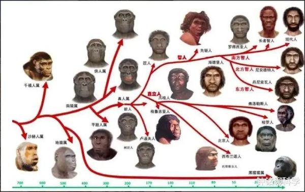 世界人种有哪些_人种起源与分布地图