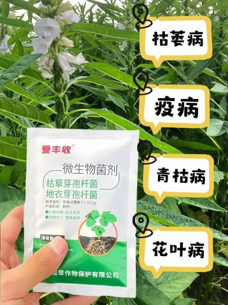 青岛中达农业杀菌剂怎么样_青岛中达农业产品效果好吗