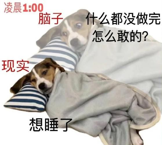 摆烂文案怎么写_摆烂文案生活化技巧